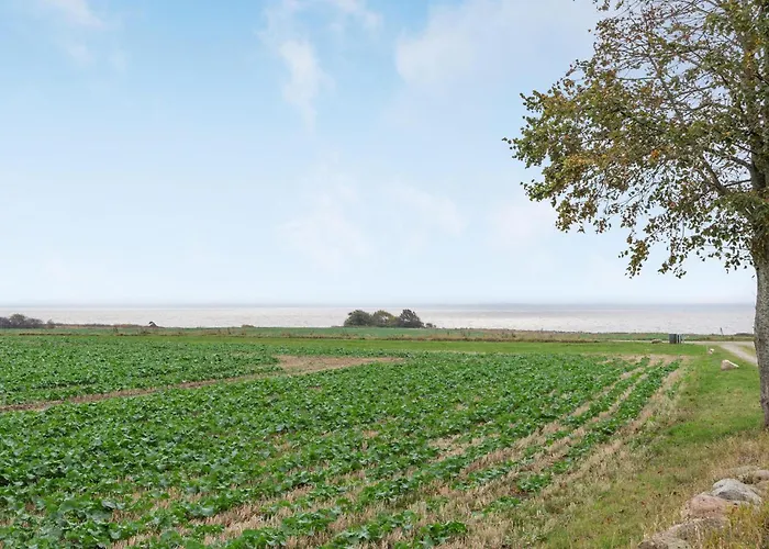 Tatil Evi Two-bedroom Sydals With A Fireplace 03 Vollerup